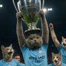 Rodristhegoat's profile picture