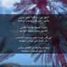 Фото профиля دنجوان الصقيهيه