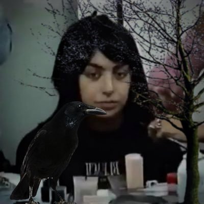 dale_xcx's profile picture