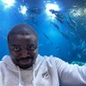 Deji Idowu, PhD's profile picture
