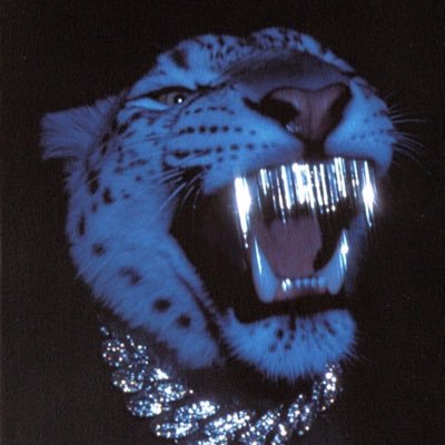 FERALWRLDD's profile picture