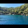 sarmaşık profil fotoğrafı