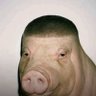 Woochie Coo's profile picture