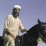 Profilbild von Osama Bin Havin