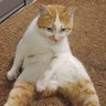 buzdolabimagneti's profile picture