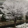 コウコロ703 的头像