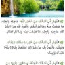 ابو فيصل س. ع 的头像