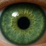 CARPE AMERICA, MD, PHD profil fotoğrafı