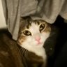 Profilbild von Solomos Debradan ▐┛