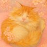 Profilbild von Sawako