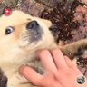 Musty profil fotoğrafı