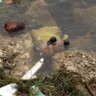 bonbob profil fotoğrafı