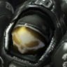 Profilbild von Jim Raynor
