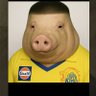 Pritam Gupta profil fotoğrafı