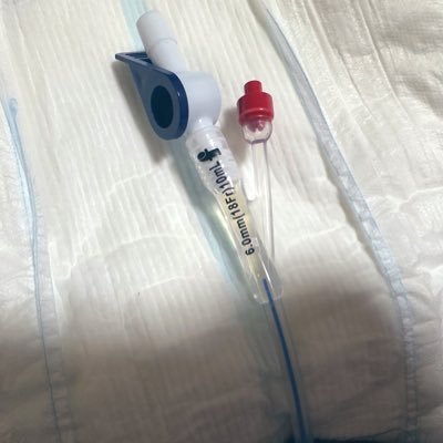 cathetersenyou's profile picture