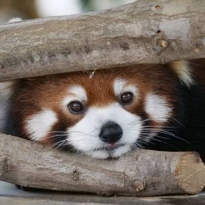 mochatake \もかたけ/'s profile picture