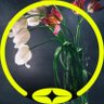 Milross9 profil fotoğrafı