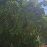 Фото профиля محمد التميمي
