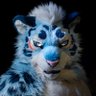 イルス★碳酸❄️🐆🔜Infurnity's profile picture