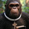 THE Rev. Quantum Bigfoot⚛️♿️#FLTG OG👴🏼#ZERORGB's profile picture