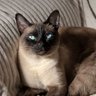 Aleksandra Zadora profil fotoğrafı