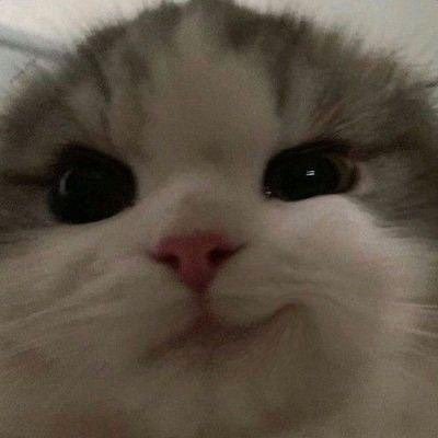 melisa's profile picture