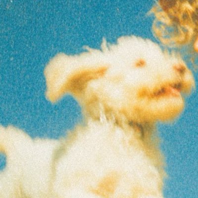 ruth's profile picture