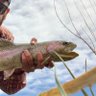 flyfishingdadbod 的头像