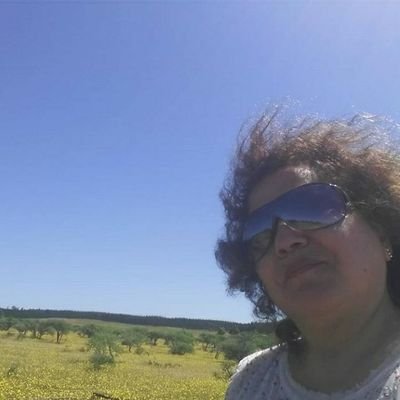 NancyOsses4's profile picture