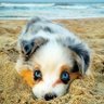 BM's profile picture