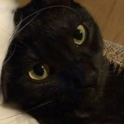 Farofa8_'s profile picture