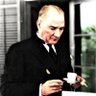 Profilbild von Adler