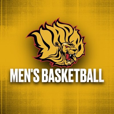 UAPBLionsMBB's profile picture