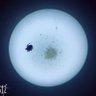 Фото профиля 海风
