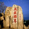 柚子和烈酒 profil fotoğrafı