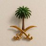 الاهلي الراقي's profile picture