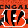 BengalsOAL profil fotoğrafı