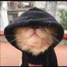 warra profil fotoğrafı