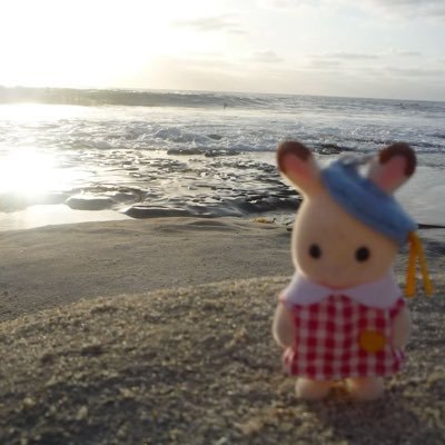 madison's profile picture