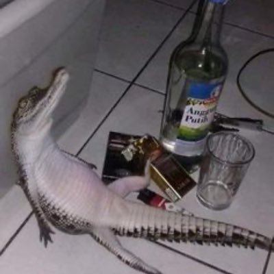 rafari_J's profile picture
