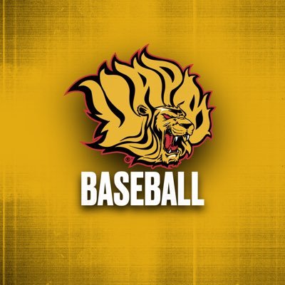 𝐆𝐨𝐥𝐝𝐞𝐧 𝐋𝐢𝐨𝐧𝐬 𝐁𝐚𝐬𝐞𝐛𝐚𝐥𝐥 ⚾️'s profile picture