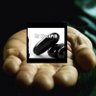 ๐๐๐๐บ๐ธ's profile picture