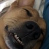 Zen-Ken's profile picture