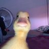 Profilbild von Solosy 2.0