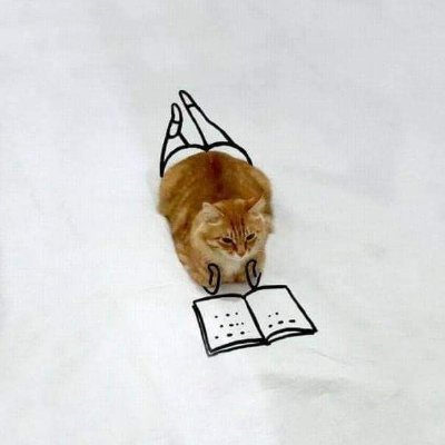 doraei22's profile picture