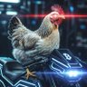 Profilbild von CHICKEN-TRON