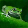 Фото профиля びっきい
