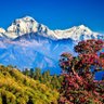 Profilbild von Deshbhakta Nepali