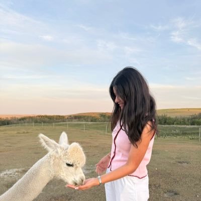 Sarcasticbandee's profile picture
