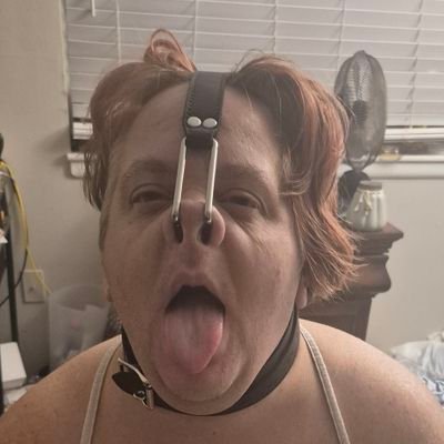 msgummypig's profile picture